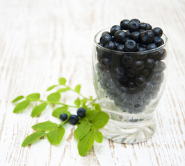 Wall Mural - blueberries