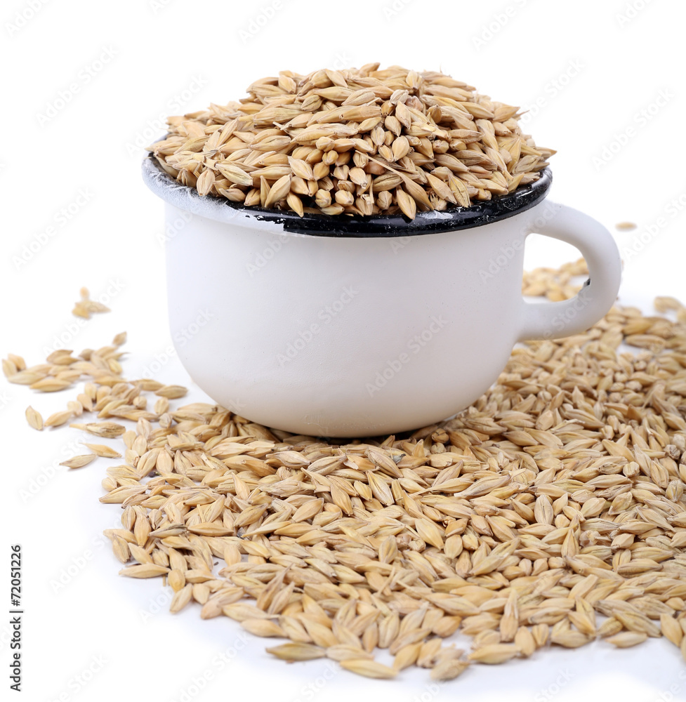 Oat in metal mug isolated on white