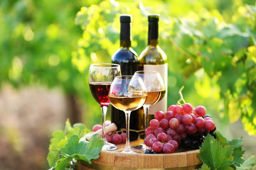 Tasty wine on wooden barrel on grape plantation background