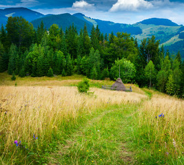 Wall Mural - amazing mountain landscape with fog and a haystack