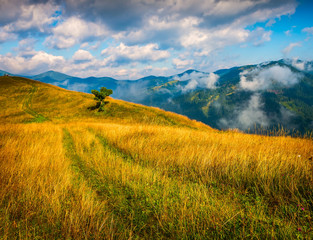 Wall Mural - amazing mountain landscape with fog and a haystack