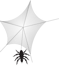 Spider web
