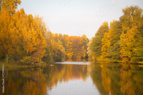 Fotoboard na płycie Jesień w parku.