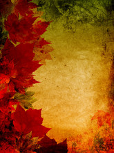 Fall Leaves Frame
