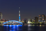 Fototapeta  - Eitai bridge and Skyscraper in Tokyo at dusk