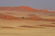 Dünenlandschaft der Namib