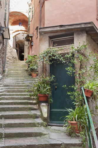 Naklejka na drzwi Alley in Vernazza, Cinque Terre, Italy