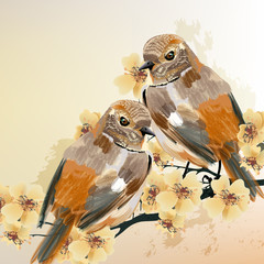 Poster - Couple of birds sit on a blooming branch tree
