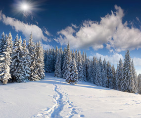 Wall Mural - Beautiful winter landscape in the mountains