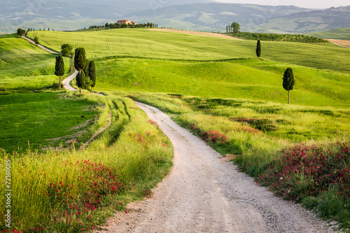 Dirt road and green field i...