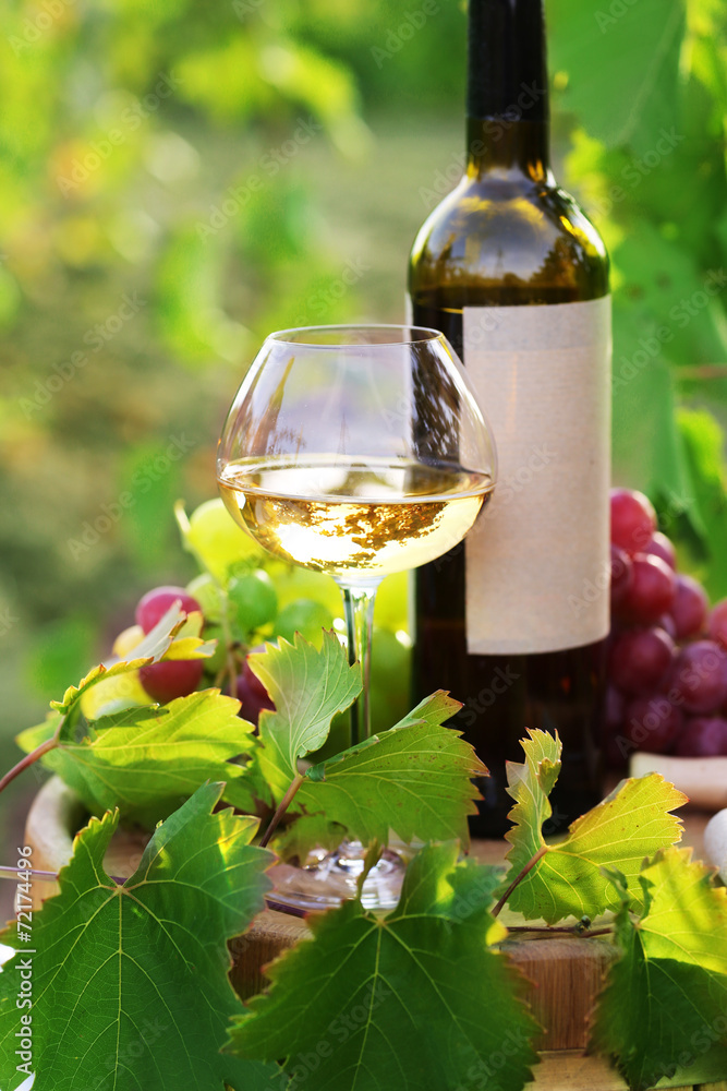 Tasty wine on wooden barrel on grape plantation background