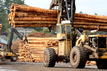 Log Yard