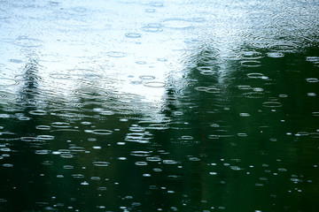 Wall Mural - rainy weather