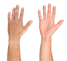men hand isolated on white