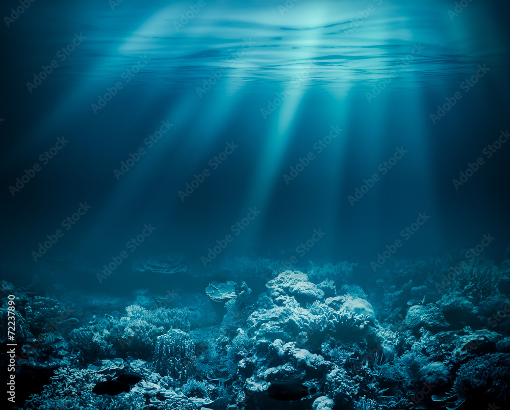 Sea deep or ocean underwater with coral reef as a background for - obrazy, fototapety, plakaty 