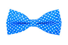 Blue Bow Tie With White Polka Dots