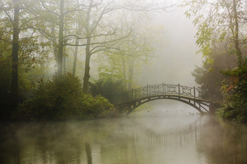 Poster - Autumn - Old bridge in autumn misty park