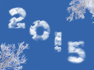 Wall Mural - 2015 written with clouds, snowy tree branches