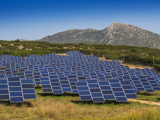 field of solar panels