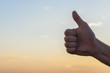 © irantzuarb - Hand at sunset sky background. OK sign