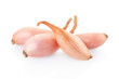 Shallot onions group on white, clipping path