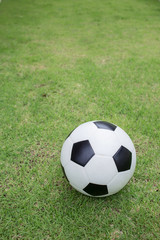 soccer ball on green grass