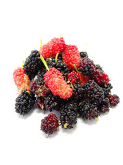 Wall Mural - mulberry isolated group of berries