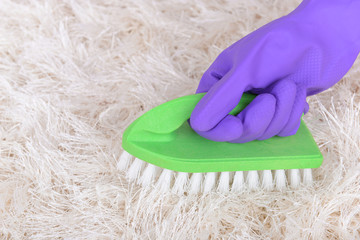 Wall Mural - Cleaning carpet with brush close up