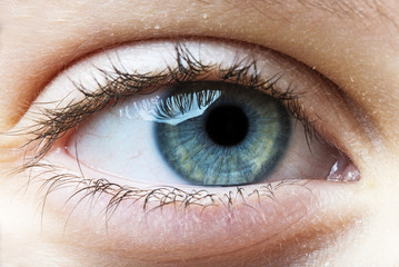 eye of the child