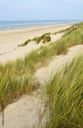 Picturesque City Of Stella Plage In Nord Pas De Calais Buy