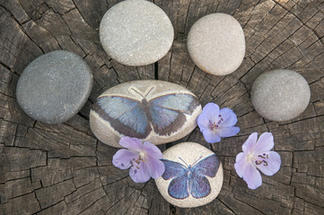 Canvas Print - Decorative pebbles