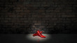 © lchumpitaz - shoes and bricks wall