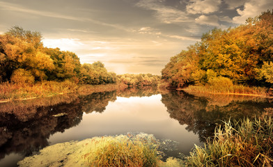 Wall Mural - River in the autumn