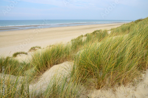 Picturesque City Of Stella Plage In Nord Pas De Calais Buy