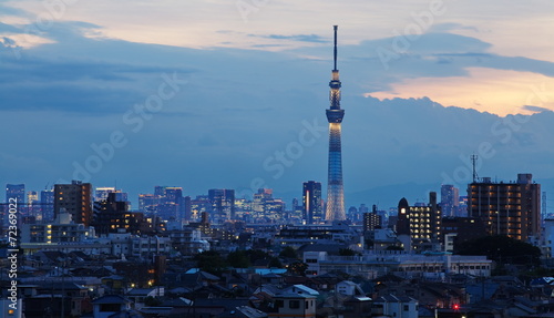 Fotoboard na płycie Tokyo niebo drzewo i niebieskie oświetlenie w czasie wieczoru