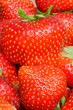 Frische, rote Erdbeeren