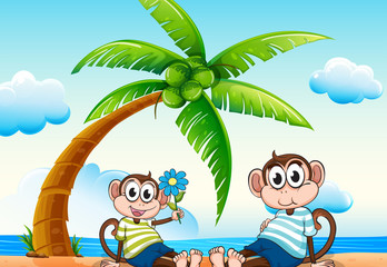 Poster - Monkeys and beach