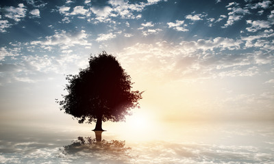 Wall Mural - natural landscape