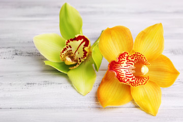 Poster - Yellow tropical orchid flowers on color wooden background