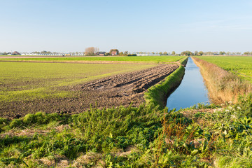 Sticker - Colorful Dutch rural landscape in autumn