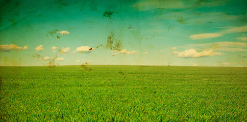 Wall Mural - green field