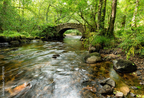 Plakat na papierze fotorealistycznym Most na dartmoorze