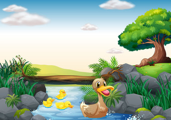 Wall Mural - Ducks and river