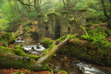 Wall Mural - Kennall Vale in Cornwall