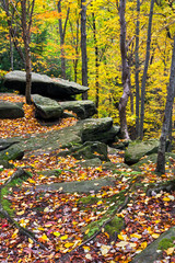 Wall Mural - Autumn Boulders