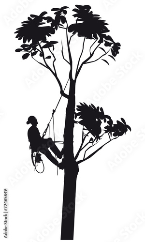 Arborist vector de Stock | Adobe Stock