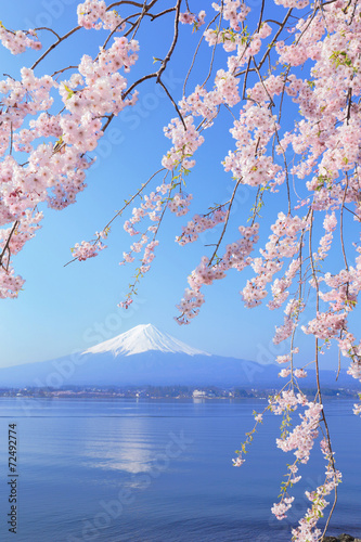 Naklejka samoprzylepna Kawaguchiko i Mt. Fuji