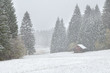 heavy snowstorm over alpine meadows in forest