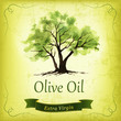 Hand drawn olive tree illustration with watercolor.