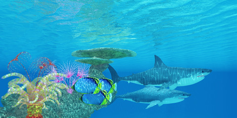 Poster - Great White Shark Reef